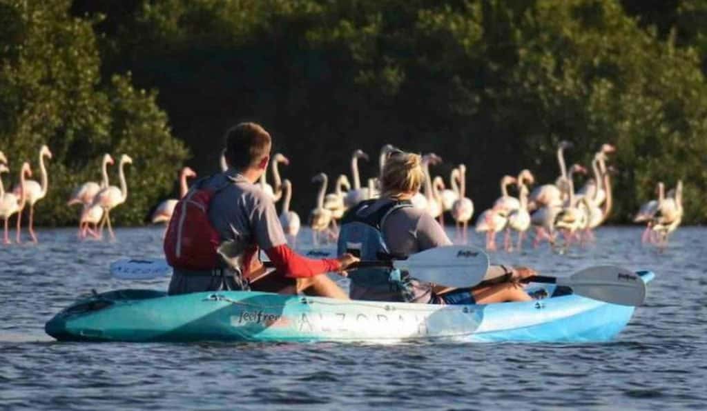 Blog Experience Image