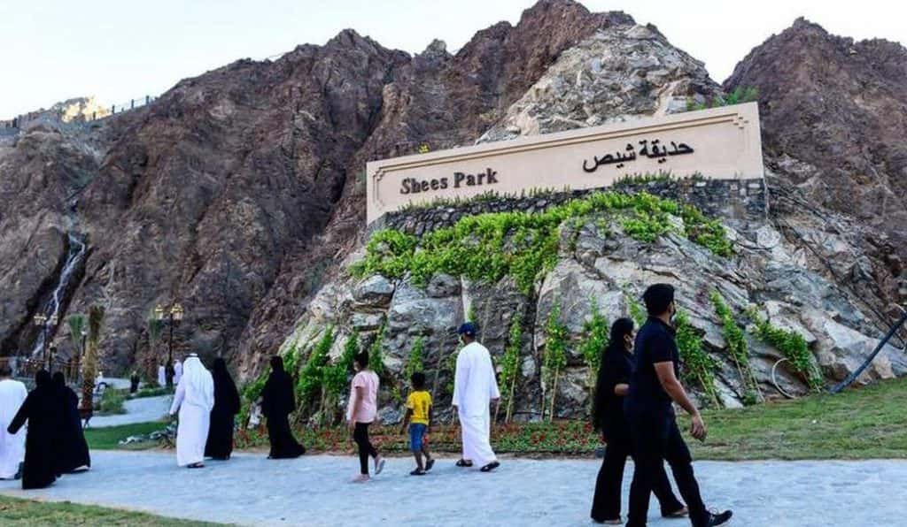 Blog Experience Image