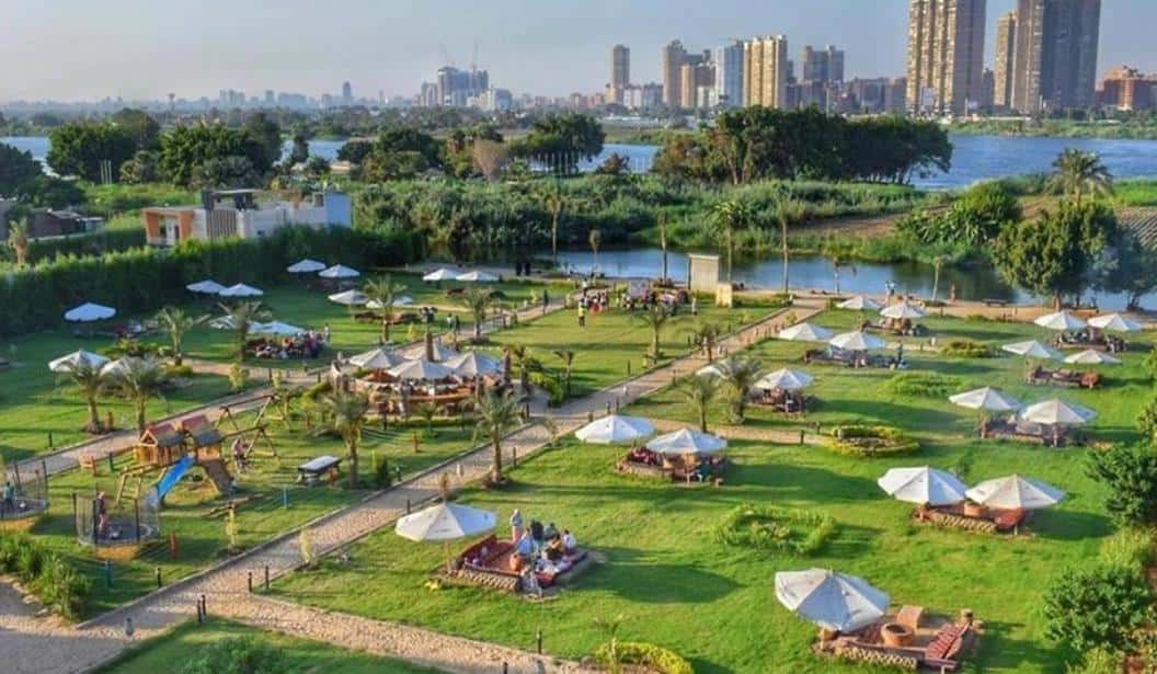 Blog Experience Image