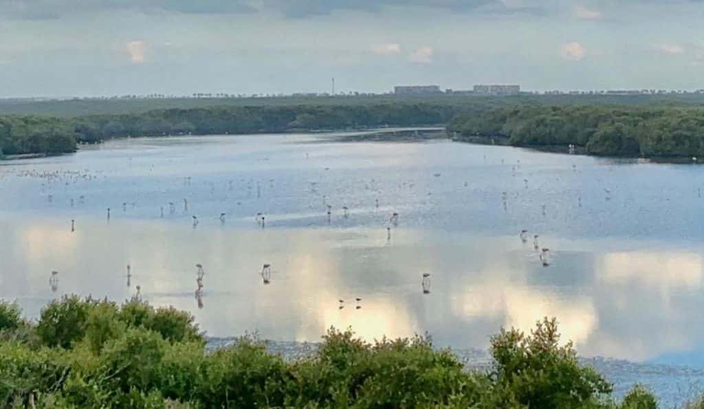 Blog Experience Image