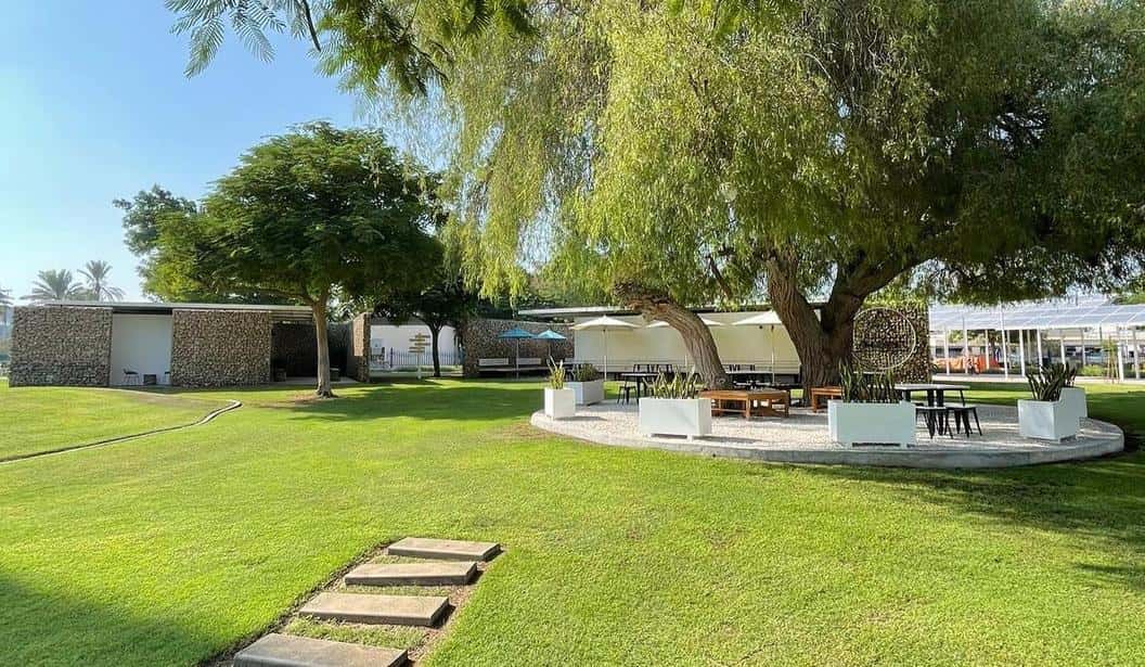 Blog Experience Image