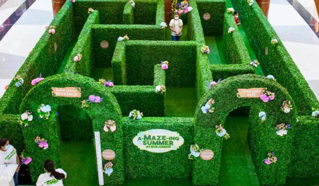 Blog Experience Image