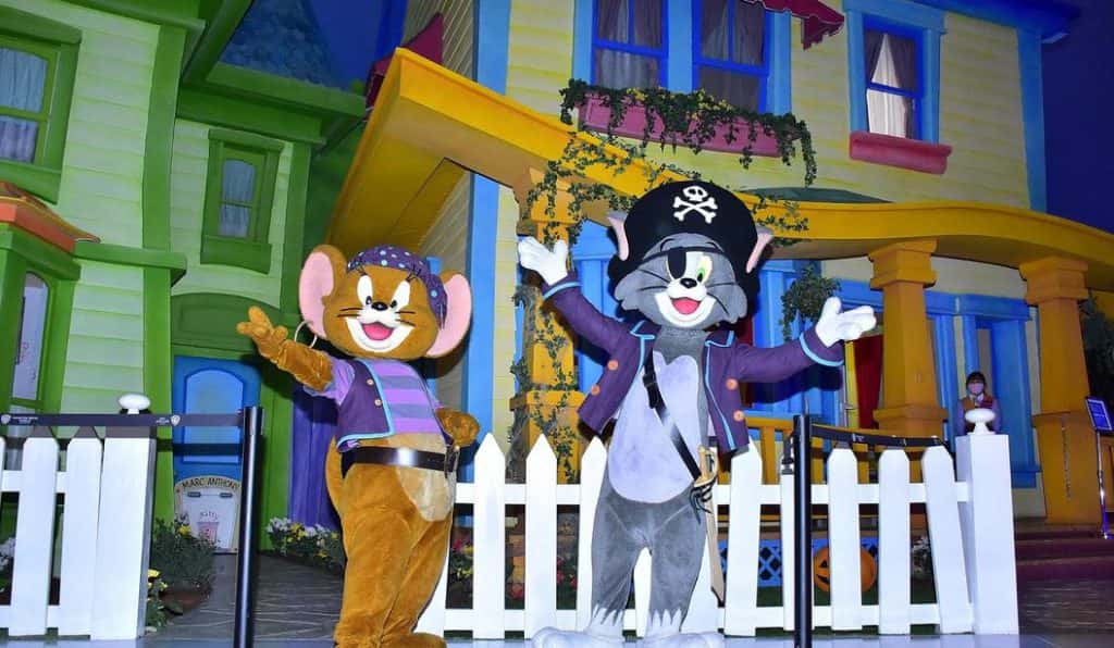 Blog Experience Image