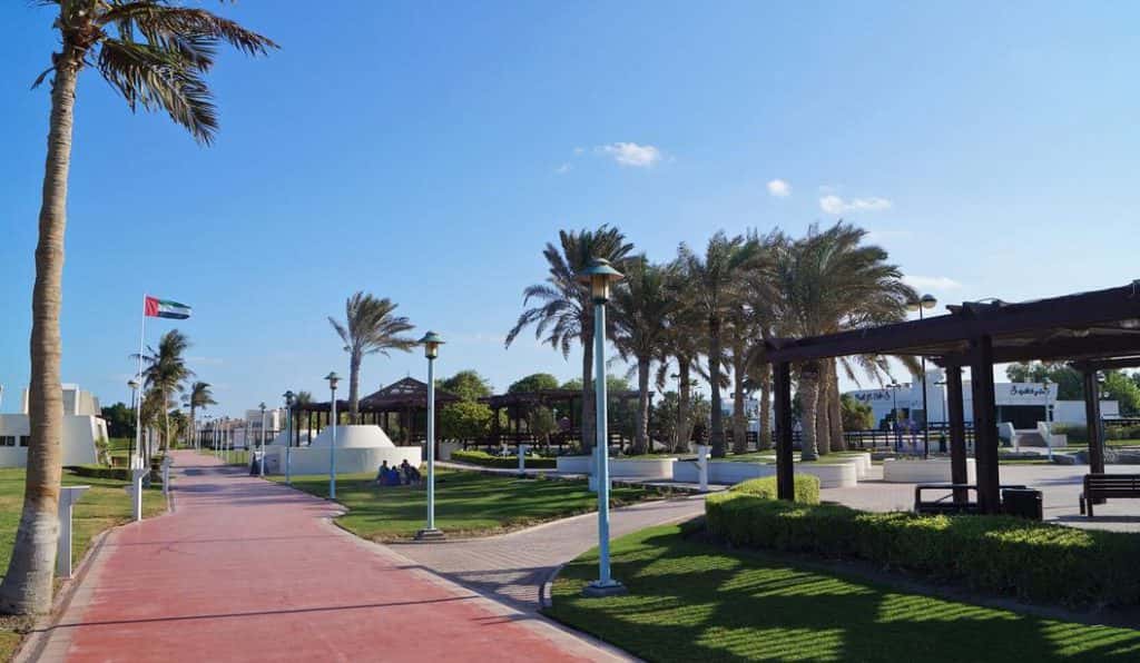 Blog Experience Image