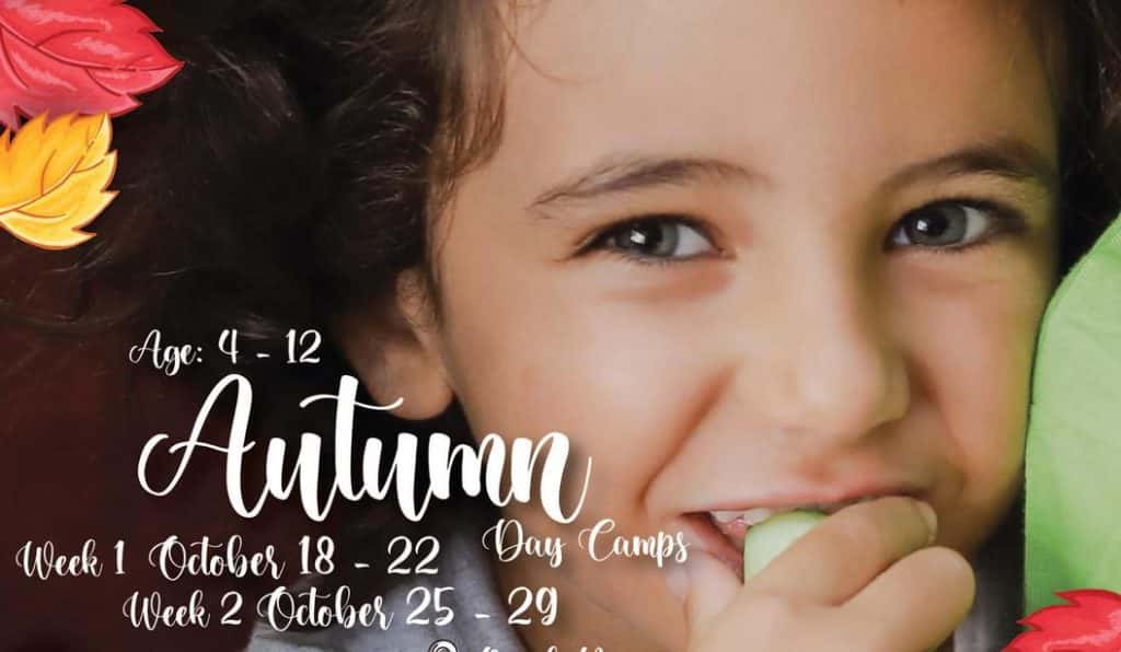 Blog Experience Image