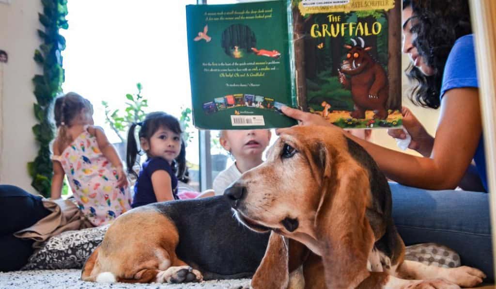 Blog Experience Image