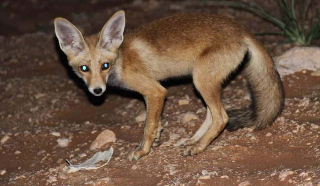 Blog Experience Image