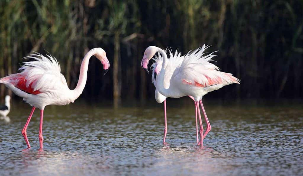 Blog Experience Image