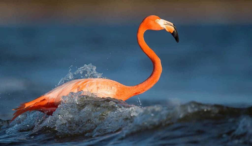 Blog Experience Image