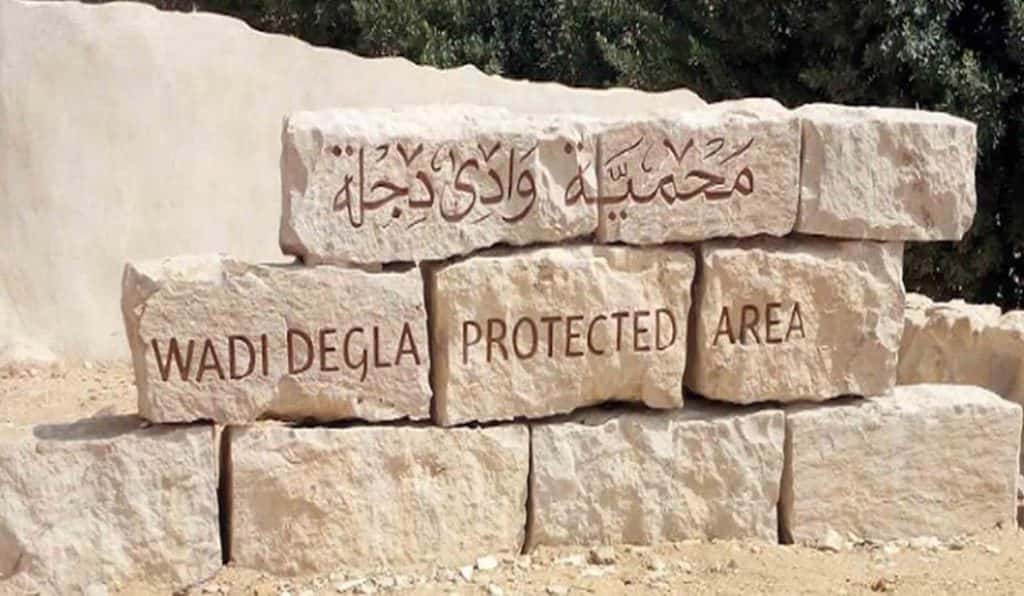 Blog Experience Image