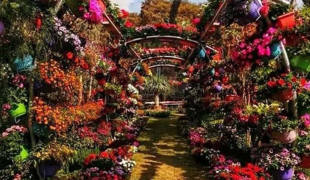 Blog Experience Image