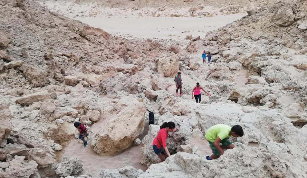 Blog Experience Image