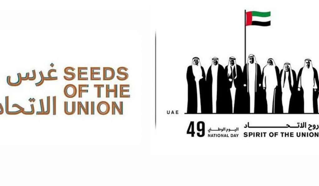 Blog Experience Image