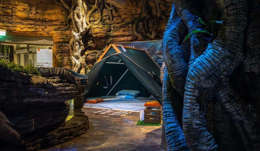 Blog Experience Image