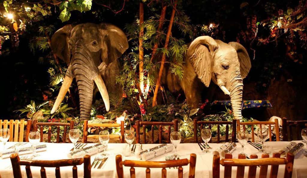 Blog Experience Image