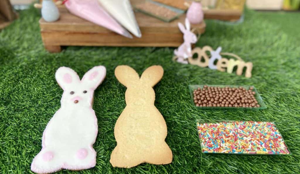 Blog Experience Image