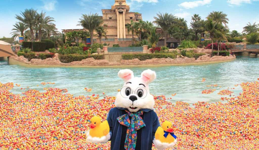 Blog Experience Image