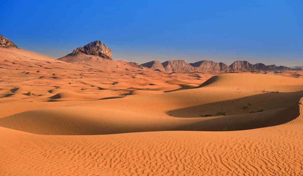 Blog Experience Image