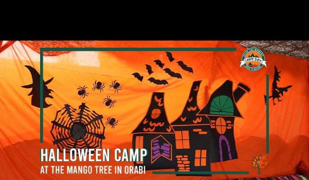 Blog Experience Image