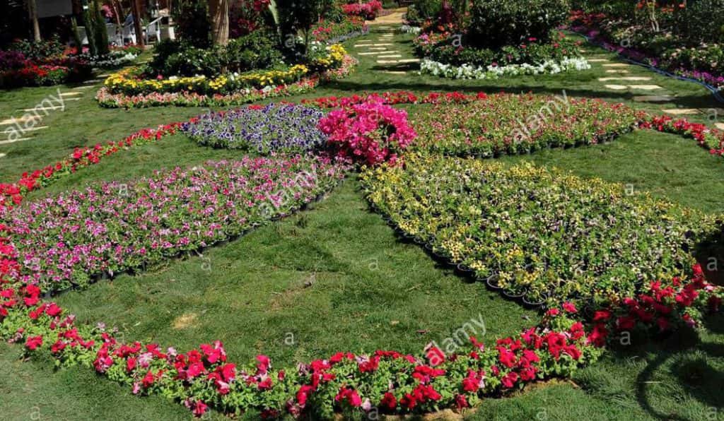 Blog Experience Image