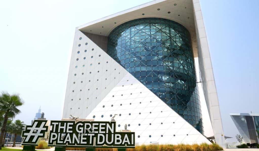 Blog Experience Image