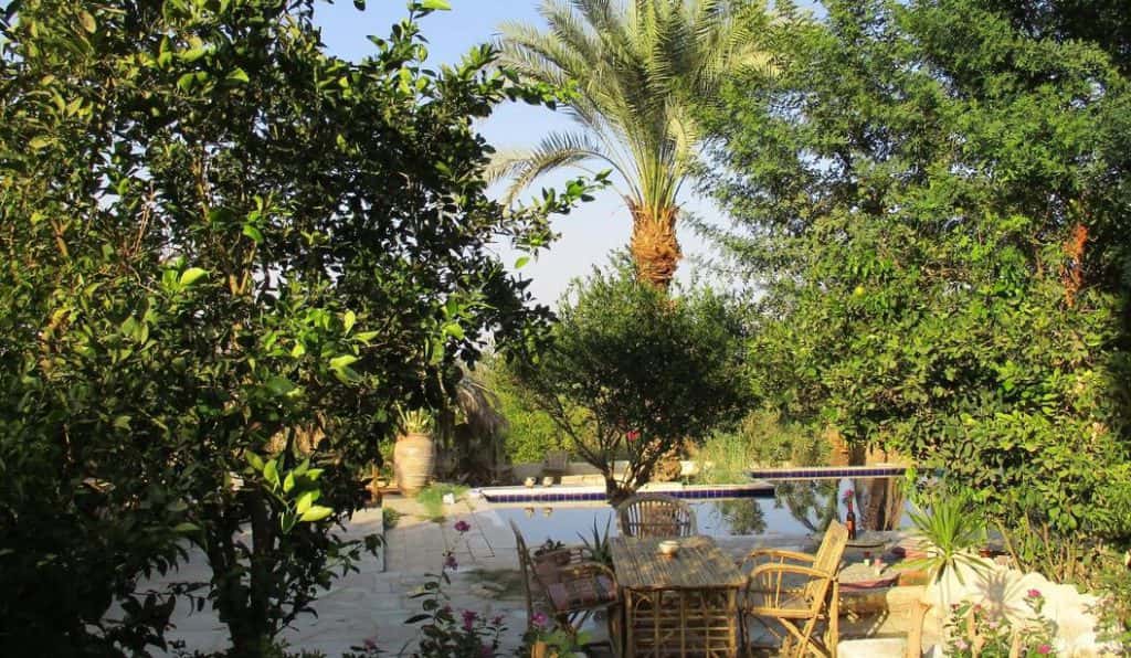 Blog Experience Image