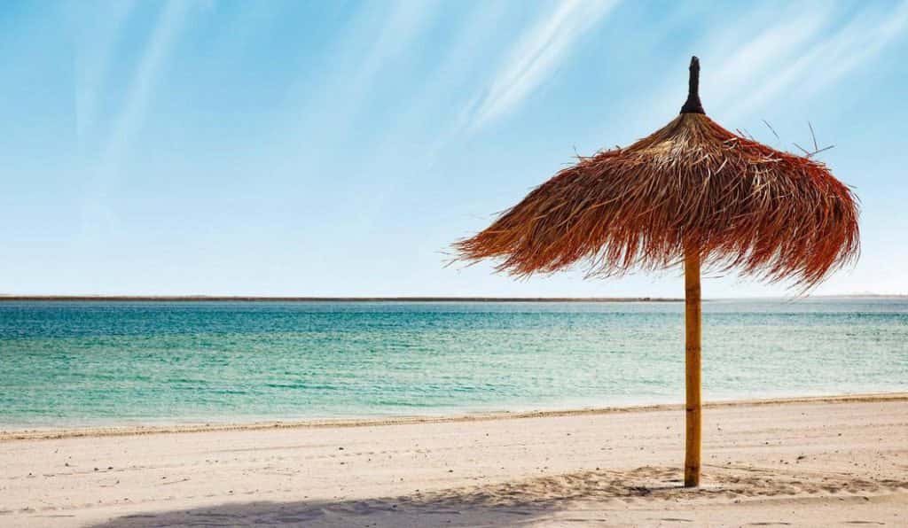 Blog Experience Image