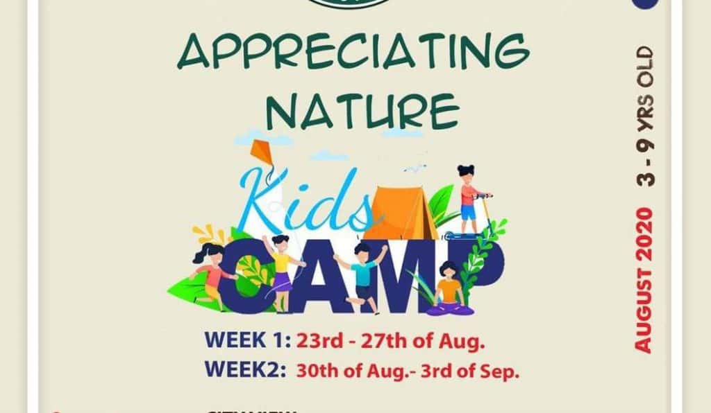 Blog Experience Image