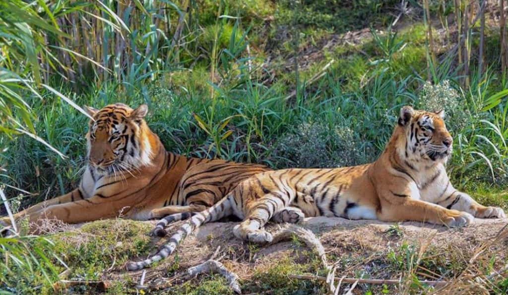 Blog Experience Image