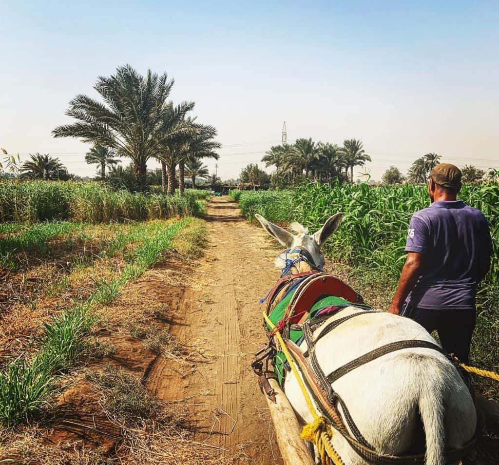 Blog Experience Image