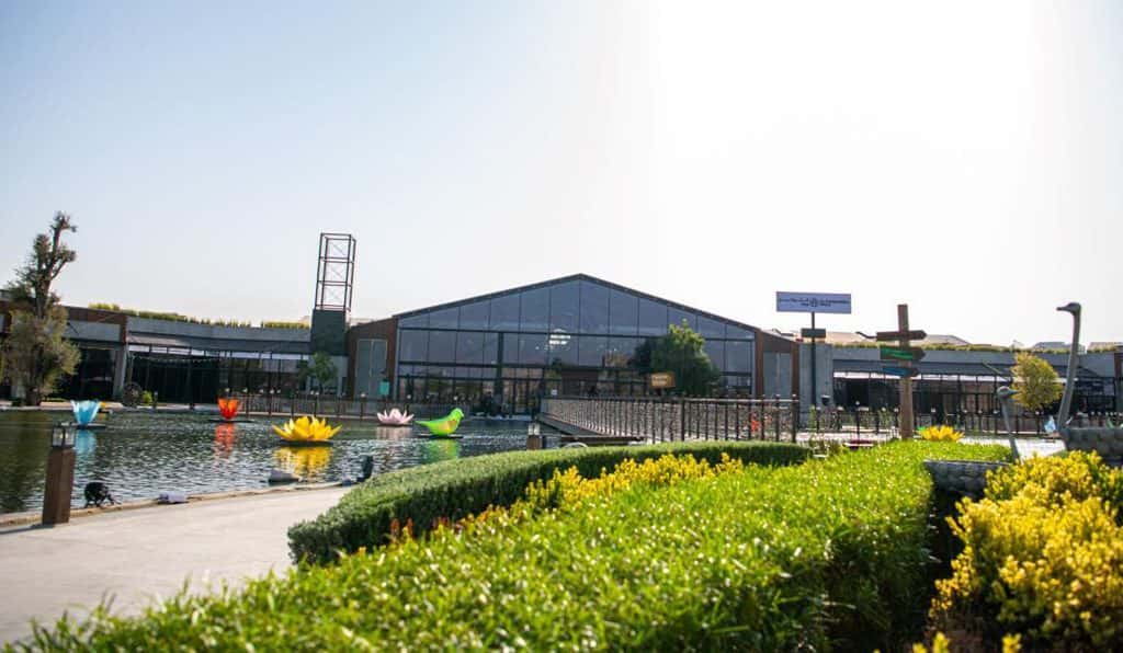 Blog Experience Image