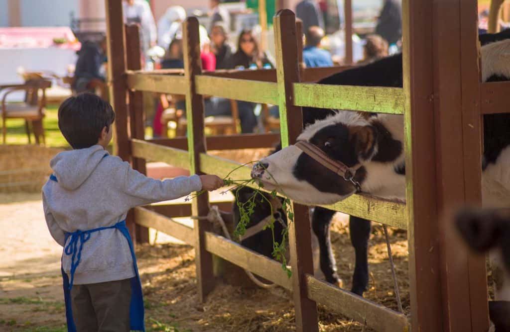 Blog Experience Image