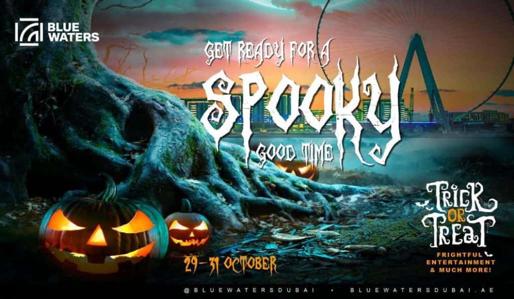 Blog Experience Image