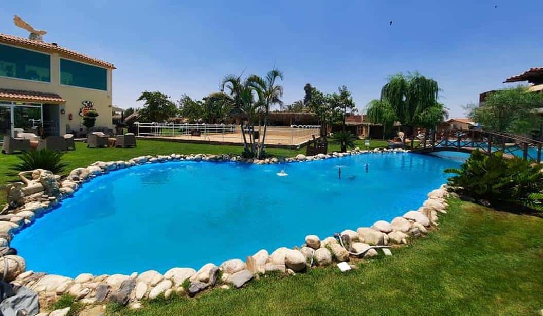 Blog Experience Image