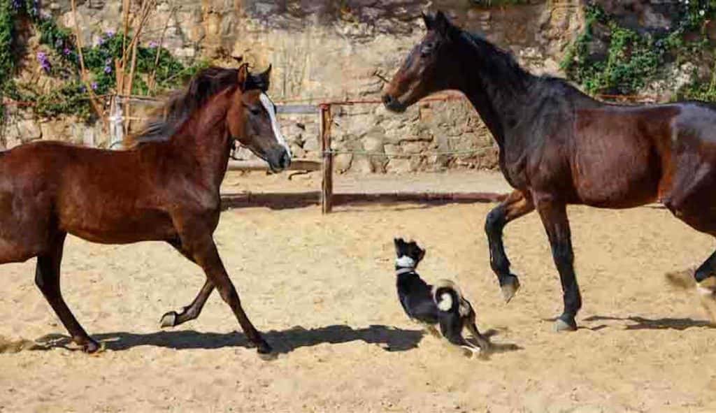 Blog Experience Image