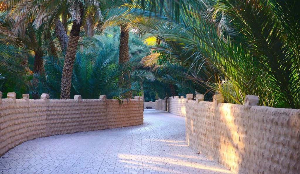 Blog Experience Image