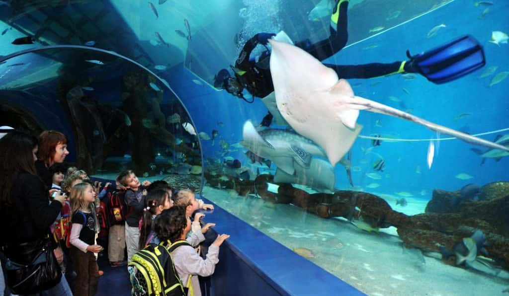 Blog Experience Image