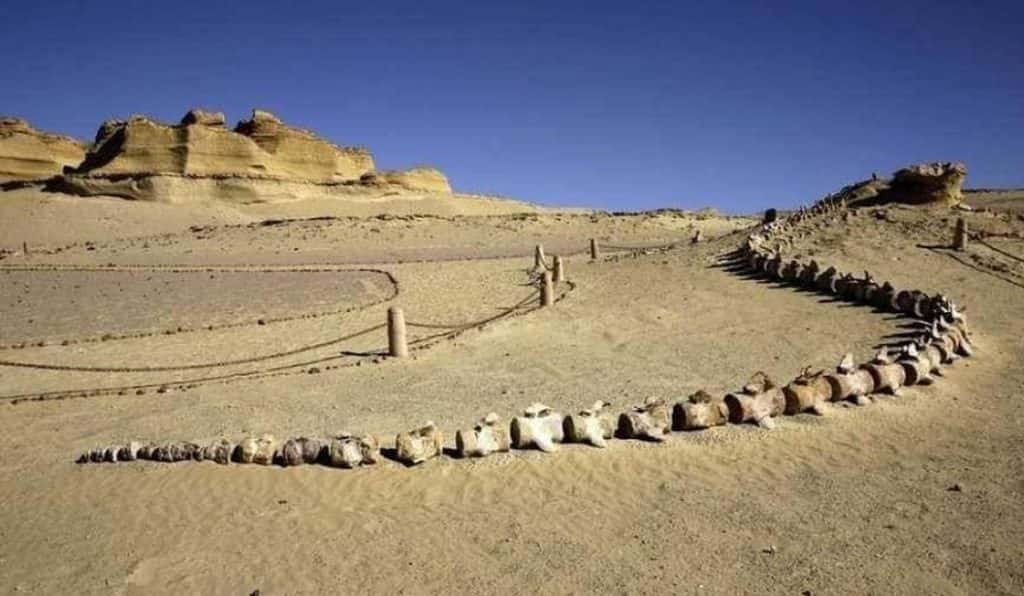 Blog Experience Image