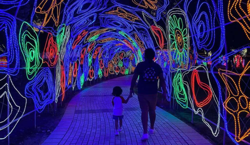 Blog Experience Image