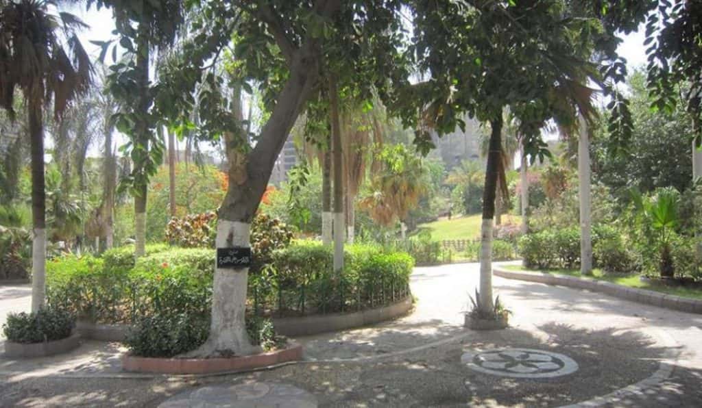 Blog Experience Image