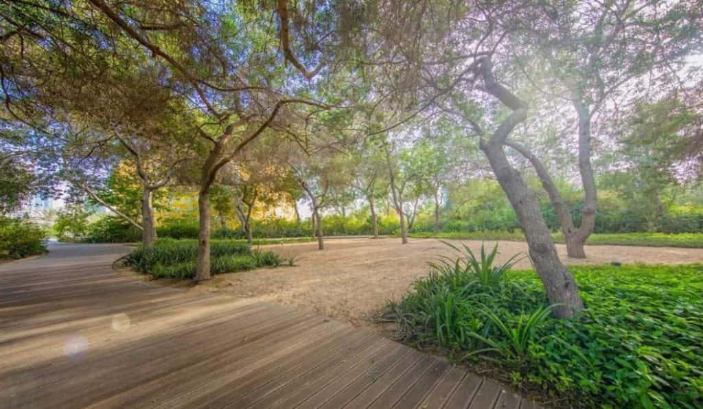 Blog Experience Image