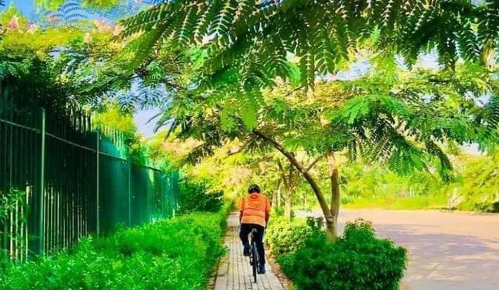 Blog Experience Image