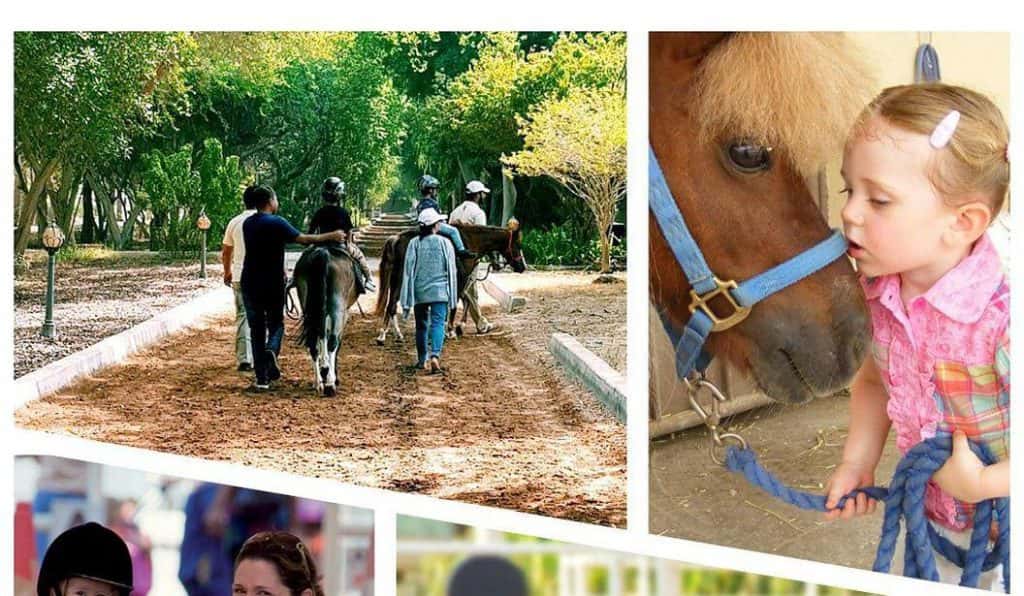 Blog Experience Image