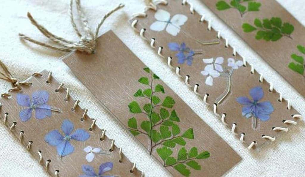 Blog Experience Image