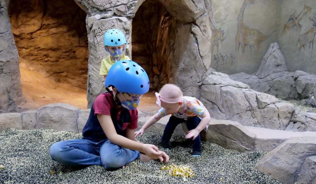 Blog Experience Image