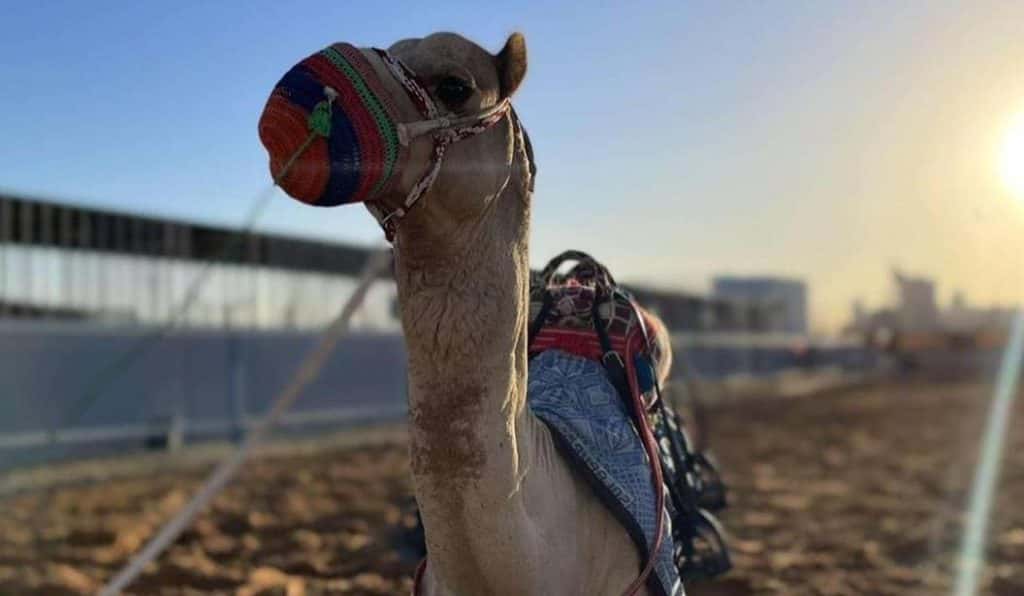 Blog Experience Image