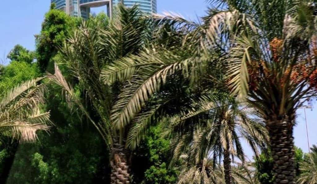 Blog Experience Image