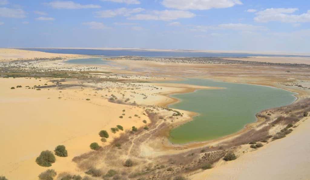 Blog Experience Image