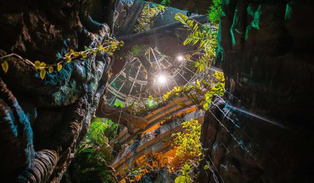 Blog Experience Image