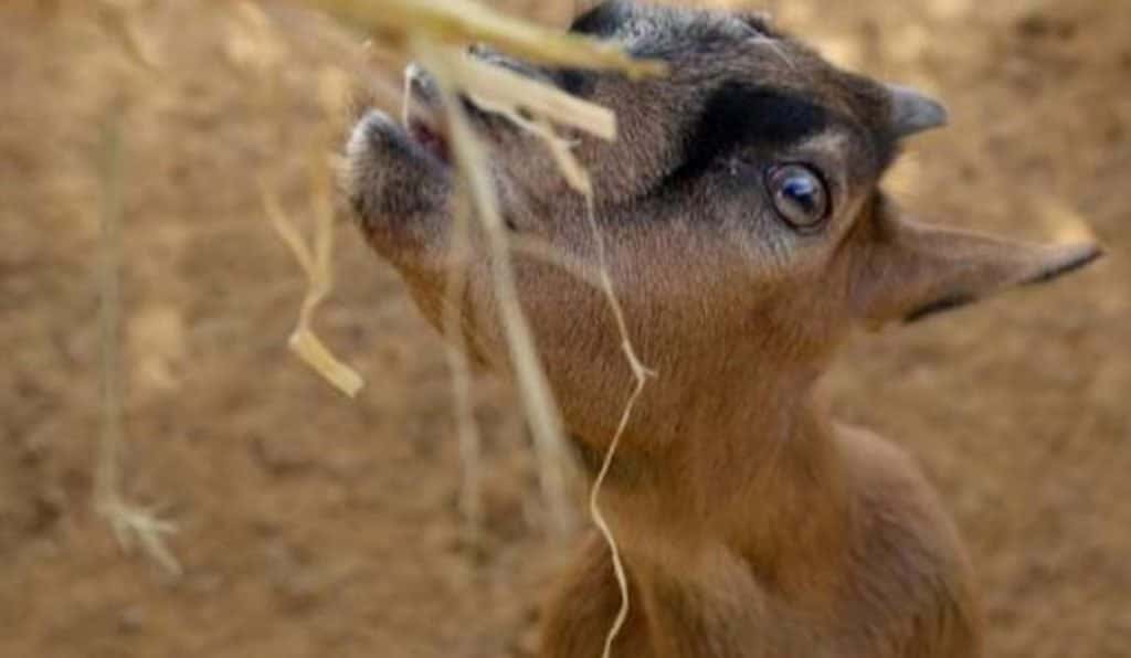 Blog Experience Image